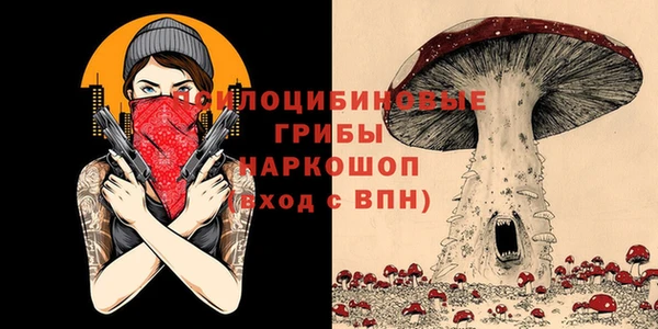 стаф Медногорск