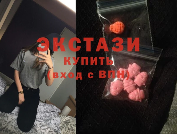 стаф Медногорск