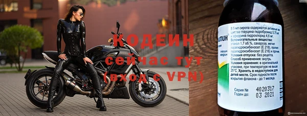 стаф Медногорск